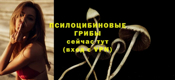 ECSTASY Краснотурьинск