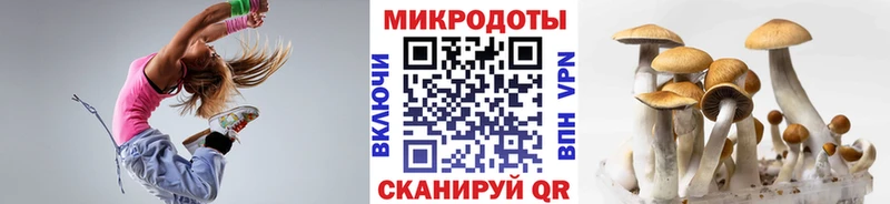 Купить где  Майский  Галлюциногенные грибы MAGIC MUSHROOMS 